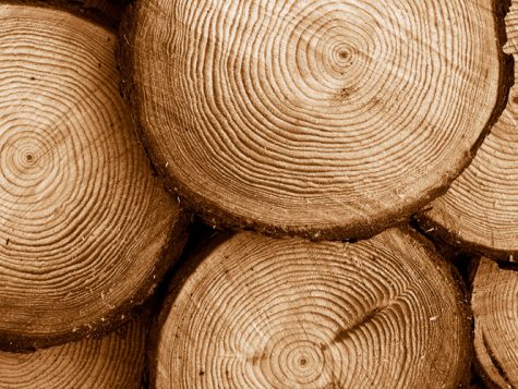 troncos de madera de fuentes sostenibles